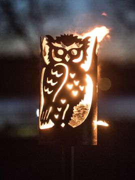 Steel torch owl