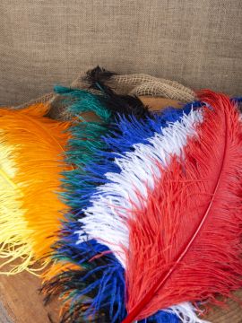 Ostrich feather 50-60 cm red