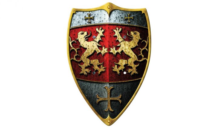 Knight's shield lion