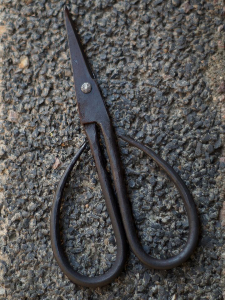 Late medieval scissors