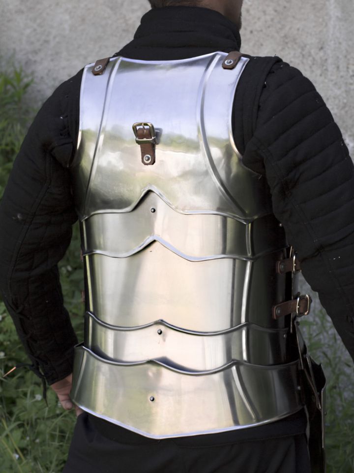 Gothic half-armor 2