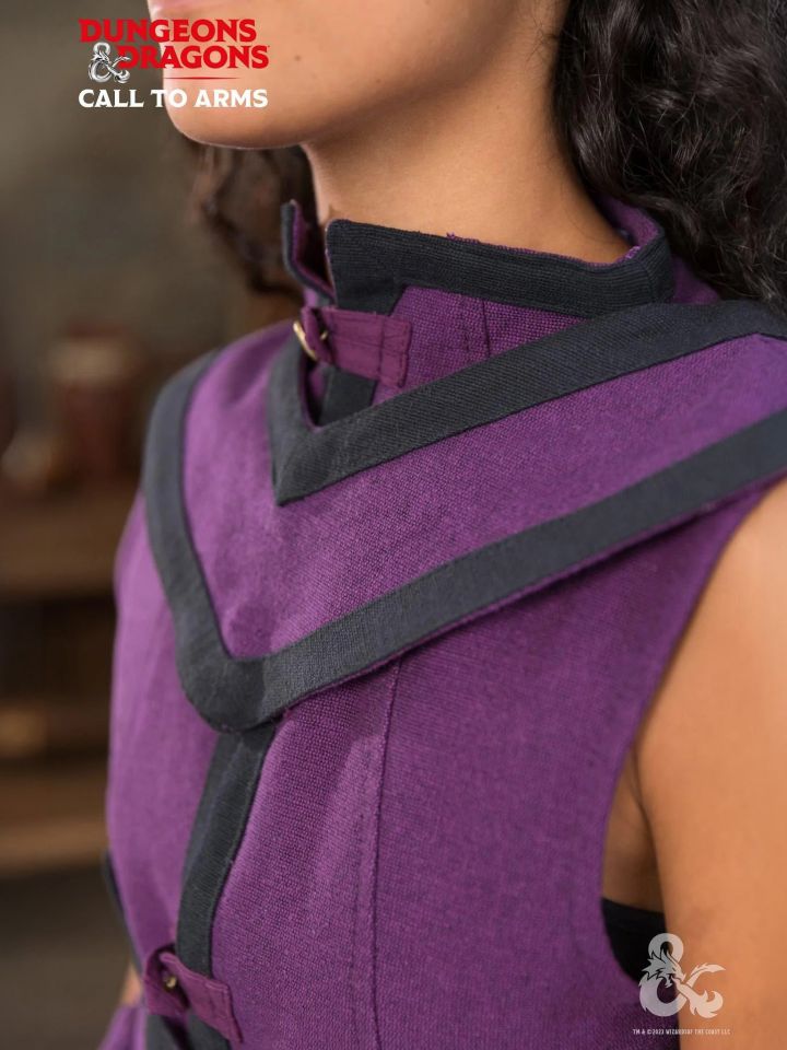 D&D Wizard Cloak Purple/Black 2