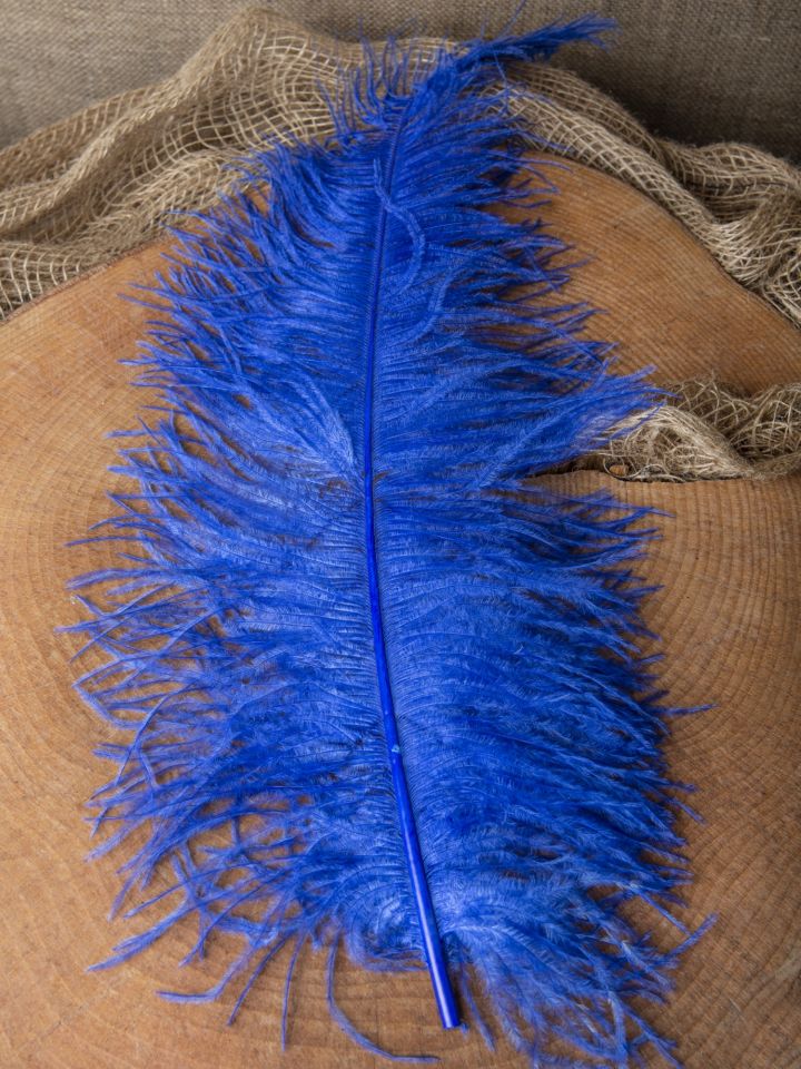 Ostrich feather 50-60 cm 2