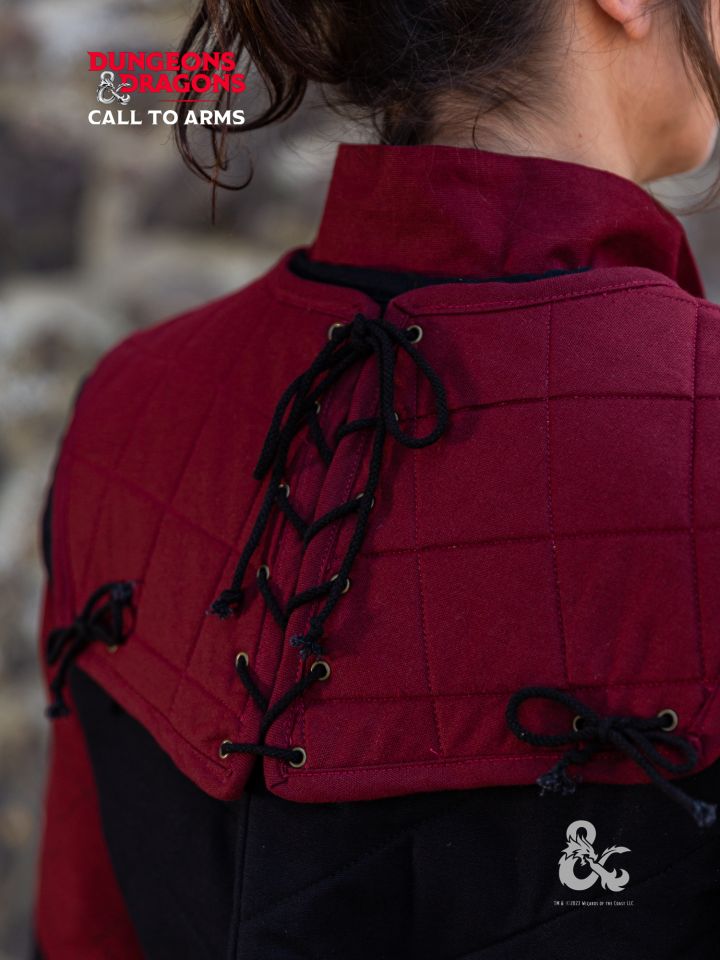 D&D fighter collar bordeaux 3