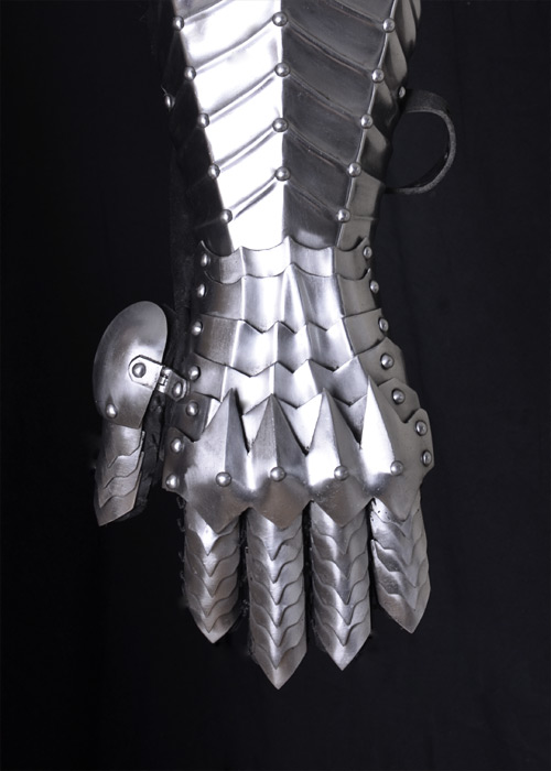 Plate gloves 3