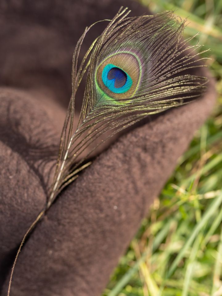 Felt hat with wide brim, brown 3