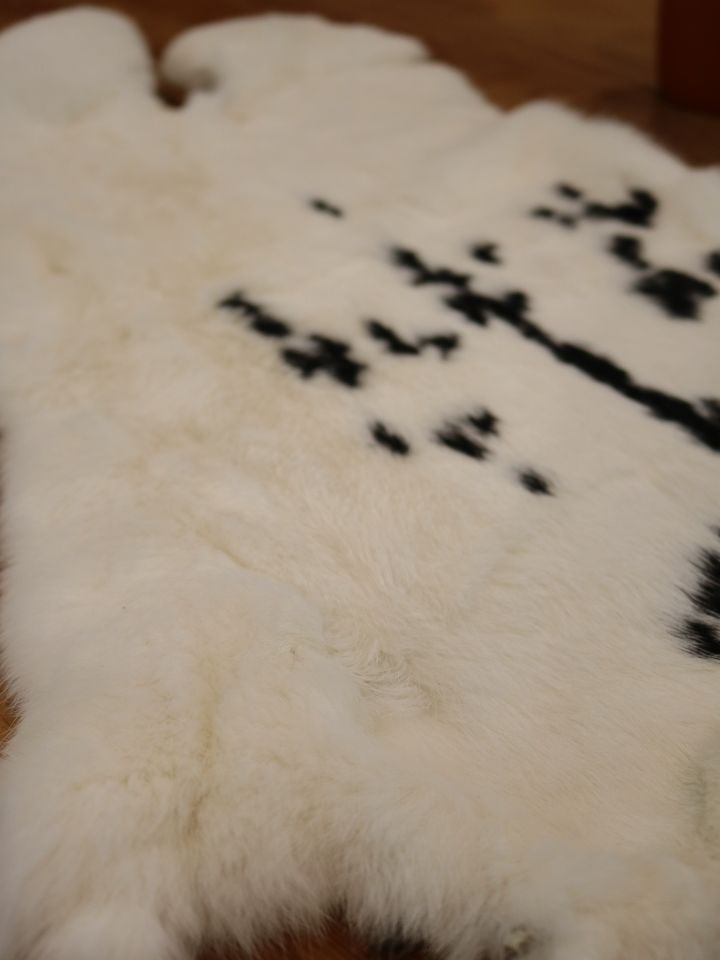 Rabbit fur pied 3