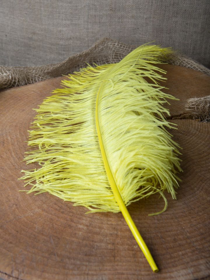 Ostrich feather 50-60 cm 3