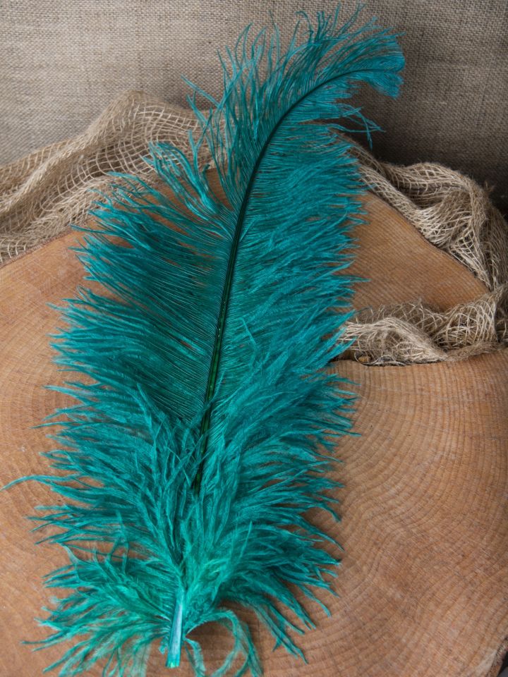 Ostrich feather 50-60 cm 4