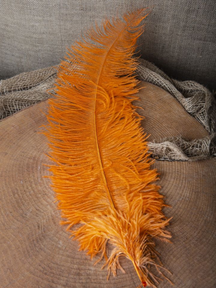 Ostrich feather 50-60 cm 5