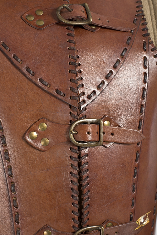 Brown leather armor 5